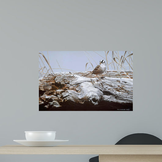 White Crowned Sparrow Wall Decal
