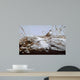 White Crowned Sparrow Wall Decal