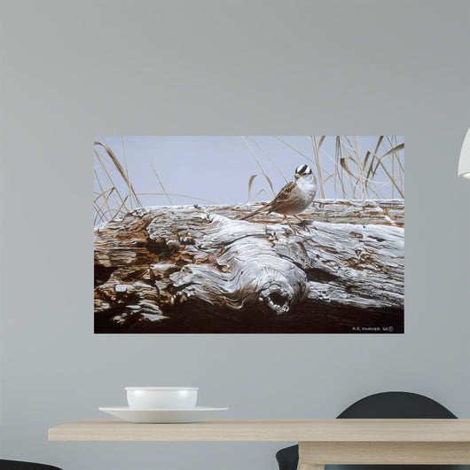 White Crowned Sparrow Wall Decal