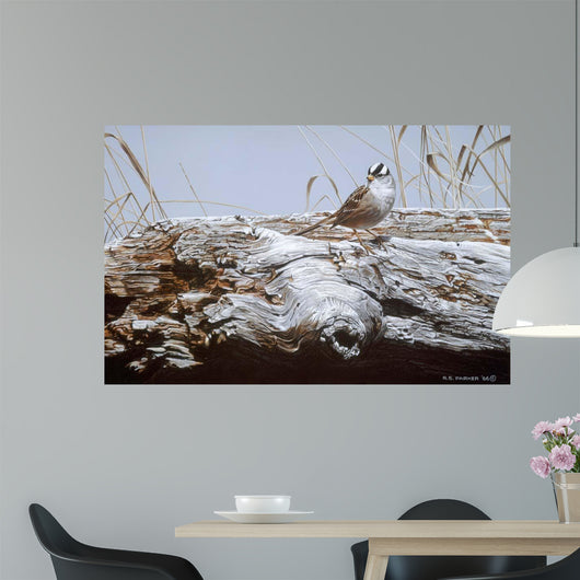 White Crowned Sparrow Wall Decal