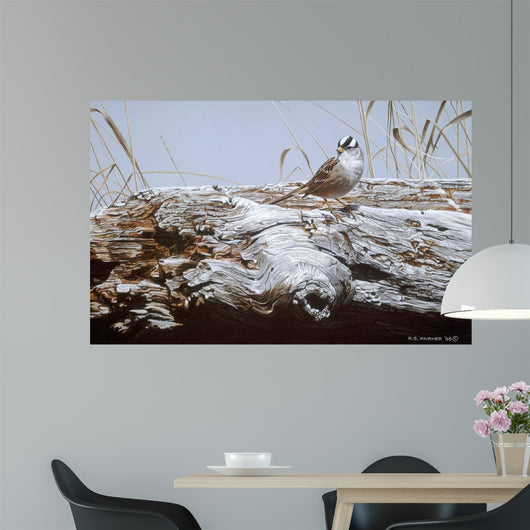 White Crowned Sparrow Wall Decal