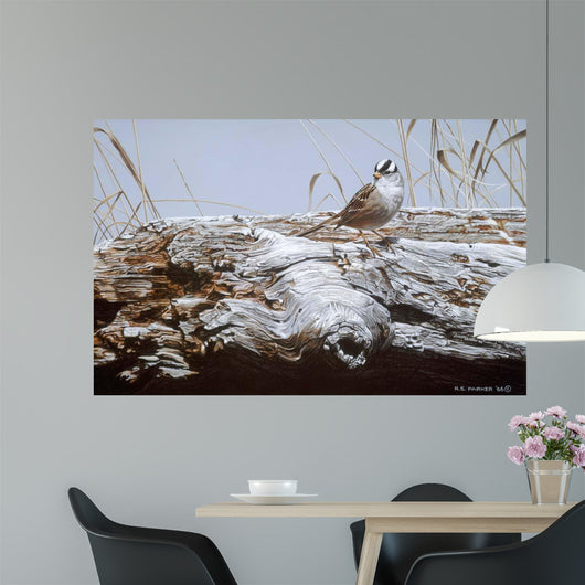 White Crowned Sparrow Wall Decal