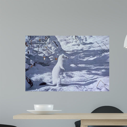 Winter Cloak Ermine Wall Decal
