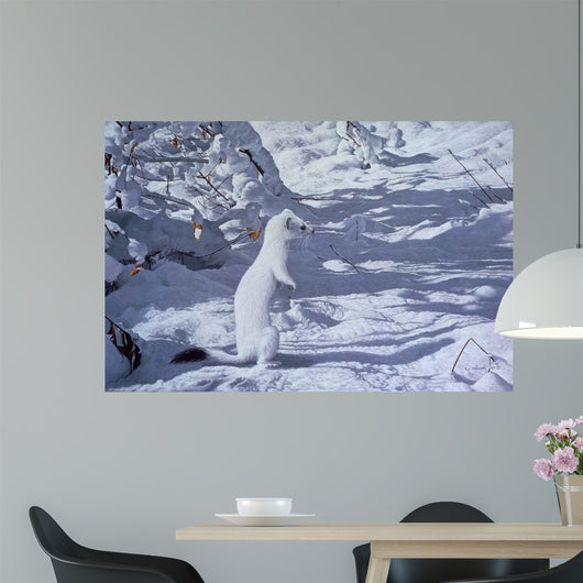 Winter Cloak Ermine Wall Decal