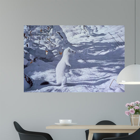 Winter Cloak Ermine Wall Decal
