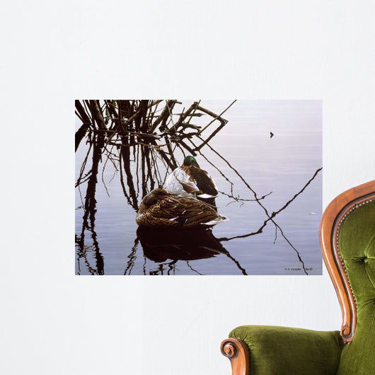 Still Water Mallards Wall Decal