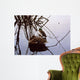 Still Water Mallards Wall Decal