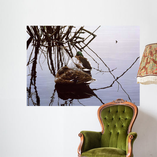 Still Water Mallards Wall Decal