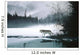 Spring Mist Gray Wolf Wall Mural