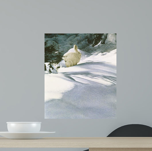 Snow Shoe Hare Wall Decal