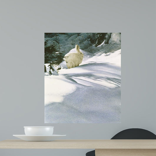 Snow Shoe Hare Wall Decal