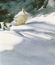 Snow Shoe Hare Wall Decal