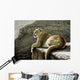 Rimrock Cougar Wall Decal