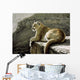 Rimrock Cougar Wall Decal