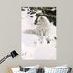 Blue Shadows Arctic Fox Wall Decal