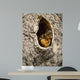 Raiding Cache Wall Decal