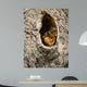 Raiding Cache Wall Decal