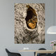 Raiding Cache Wall Decal