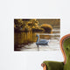 Morning Lagoon Mute Swan Wall Decal