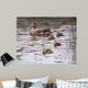 Mallard Family Wall Decal