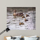 Mallard Family Wall Decal