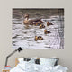 Mallard Family Wall Decal