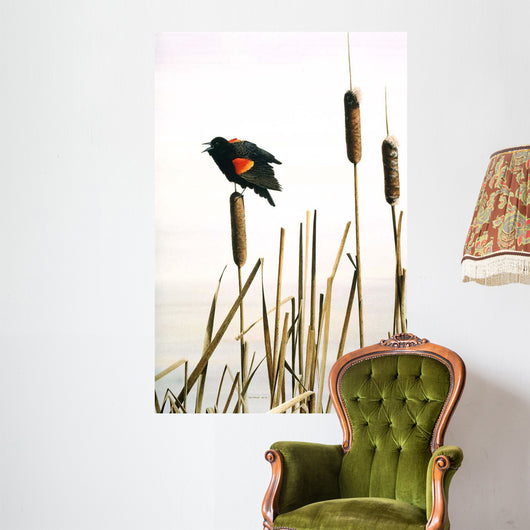 Early Arrival- Red- Winged Wall Decal