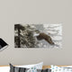 Through Firs Wall Decal