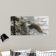 Through Firs Wall Decal