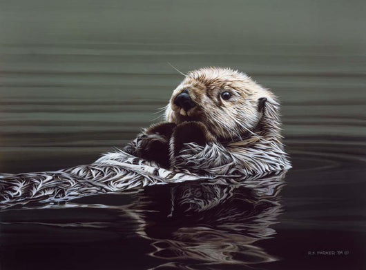Just Resting Sea Otter Wall Decal