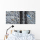 Autumn Blue Jay Wall Decal