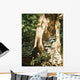 Raccoon Pair Wall Decal