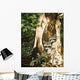 Raccoon Pair Wall Decal