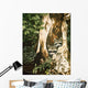 Raccoon Pair Wall Decal