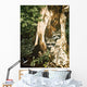 Raccoon Pair Wall Decal