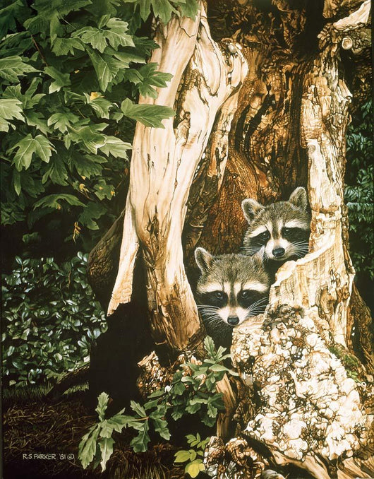 Raccoon Pair Wall Decal