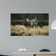 Autumn Foraging Moose Wall Decal