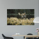 Autumn Foraging Moose Wall Decal