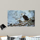 Eagles Pine Wall Decal