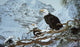 Eagles Pine Wall Decal