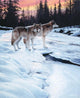 Wolves Sunset Wall Decal