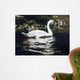Mute Swan and Lily Wall Decal