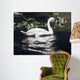 Mute Swan and Lily Wall Decal