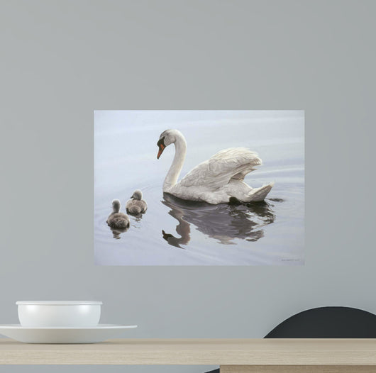 Mute Swan and Two Wall Decal