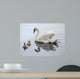 Mute Swan and Two Wall Decal