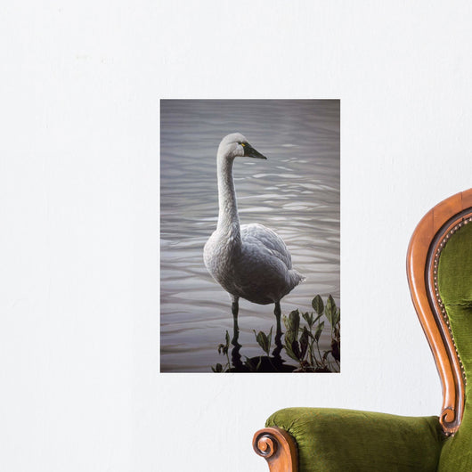Waters Edge Wall Decal