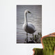 Waters Edge Wall Decal