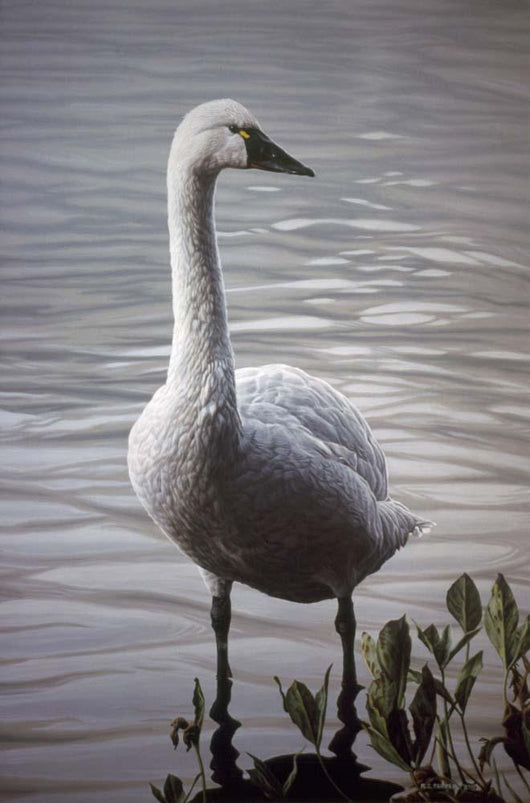Waters Edge Wall Decal