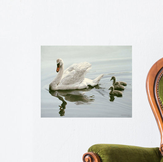Mute Swan and Three Wall Decal