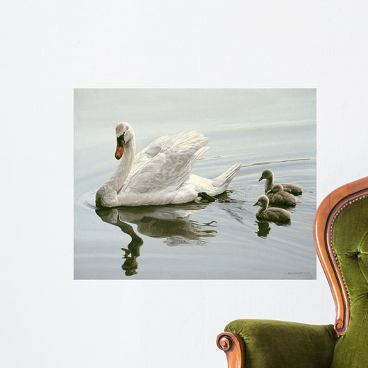 Mute Swan and Three Wall Decal